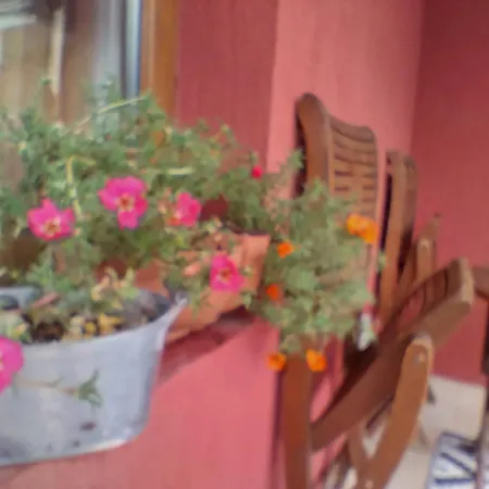 скален венец *